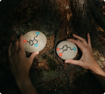 serotonina i dopamina